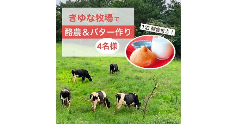 【ふるさと納税】やんばるの自然の中で牧場体験！【1泊朝食付き】（4名様）