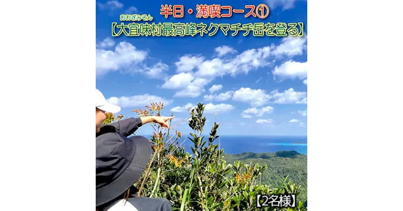 【ふるさと納税】沖縄県北部やんばる・大宜味村最高峰ネクマチヂ岳を登る【2名様】