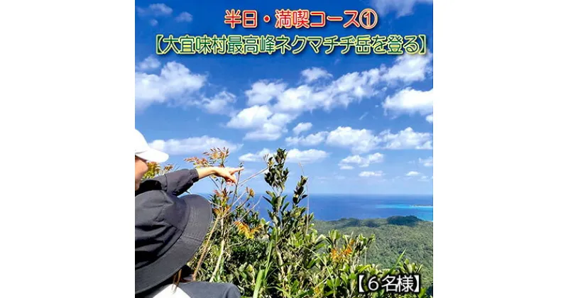 【ふるさと納税】沖縄県北部やんばる・大宜味村最高峰ネクマチヂ岳を登る【6名様】