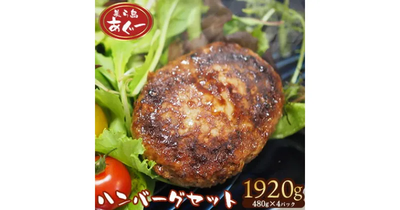 【ふるさと納税】【美ら島あぐー】ハンバーグ4個入り　1920g（480g×4パック） 合計16個 あぐー 黄金比率 沖縄 大宜味村 豚肉 小分け 国産 おつまみ こだわり ぶた アグー 加工品 おいしい 美味しい 取り寄せ 肉 豚 冷凍 まろやか 旨味