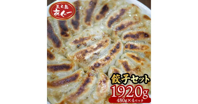 【ふるさと納税】【美ら島あぐー】　餃子セット　1920g 【480g×4パック】 あぐー もっちり 沖縄 大宜味村 豚肉 小分け 国産 おつまみ こだわり ぶた アグー 加工品 おいしい 美味しい 取り寄せ 肉 豚 冷凍 まろやか 旨味