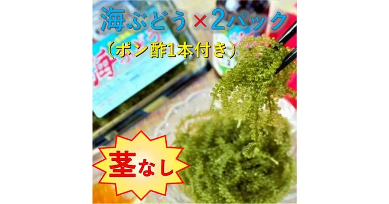 【ふるさと納税】【美ら海沖縄県東村産】茎なし海ぶどう2パックセット（ぽん酢付き）