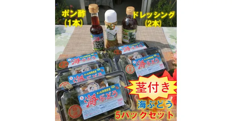 【ふるさと納税】【美ら海沖縄県東村産】茎付き海ぶどう5パックセット（ぽん酢＆ドレッシング付き）