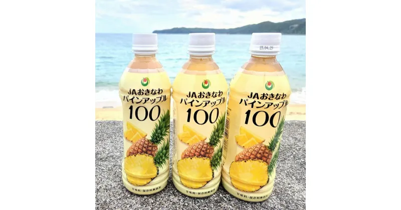 【ふるさと納税】【無添加・果汁100％】パインアップル100（500ml×3本）