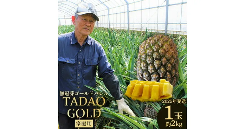 【ふるさと納税】TADAO GOLD　家庭用（無冠芽）1玉　約2kg【ゴールドバレル】2025年発送 ゴールドバレル パインアップル タダオゴールド たまき ただお 逸品 パイン職人 パイナップル 国産パイン 家庭用 パイン 匠 高級フルーツ 南国フルーツ 特別 希少 農家直送 沖縄 東村