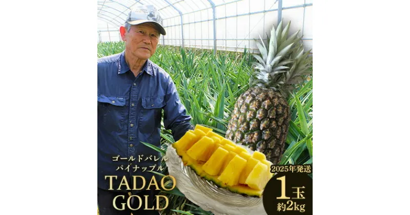 【ふるさと納税】TADAO GOLD　1玉　約2kg【ゴールドバレル】2025年発送 ゴールドバレル パインアップル タダオゴールド たまき ただお 逸品 パイン職人 最高級 国産パイン パイナップル パイン 匠 高級フルーツ 南国フルーツ 特別 希少 玉城忠男 農家直送 沖縄 東村