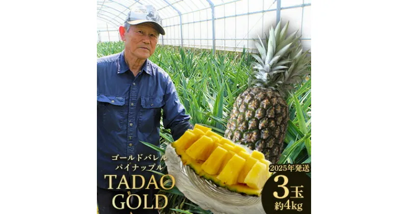 【ふるさと納税】TADAO GOLD　3玉　約4kg【ゴールドバレル】2025年発送 ゴールドバレル パインアップル タダオゴールド たまき ただお 逸品 パイン職人 最高級 国産パイン パイナップル パイン 匠 高級フルーツ 南国フルーツ 特別 希少 玉城忠男 農家直送 沖縄 東村