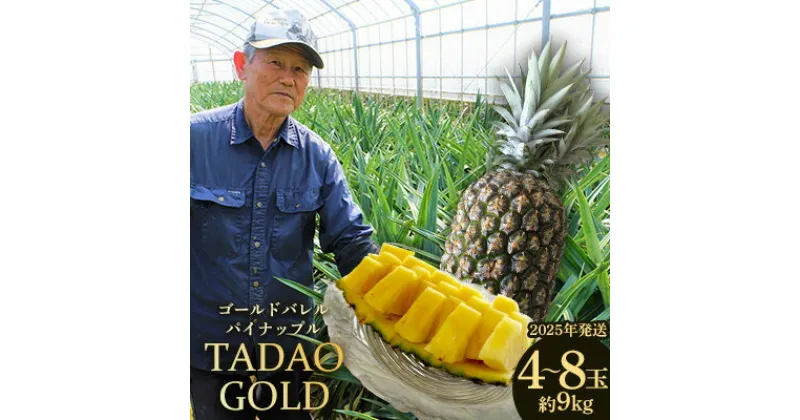 【ふるさと納税】TADAO GOLD　4～8玉　約9kg【ゴールドバレル】2025年発送 ゴールドバレル パインアップル タダオゴールド たまき ただお 逸品 パイン職人 最高級 国産パイン パイナップル パイン 匠 高級フルーツ 南国フルーツ 特別 希少 玉城忠男 農家直送 沖縄 東村