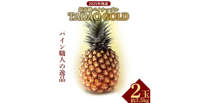 【ふるさと納税】最高級パイナップル　TADAO GOLD　2玉　約3.5kg【ゴールドバレル】2025年発送 ゴールドバレル パイナップル タダオゴールド たまき ただお 逸品 パインアップル 最高級 国産パイン 贈答用 パイン 匠 高級フルーツ 南国フルーツ パイン職人 希少 玉城忠男