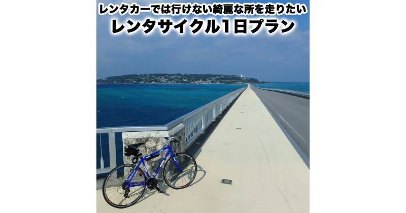 【ふるさと納税】レンタカーでは行けない綺麗な所を走りたい！レンタサイクル1日プラン