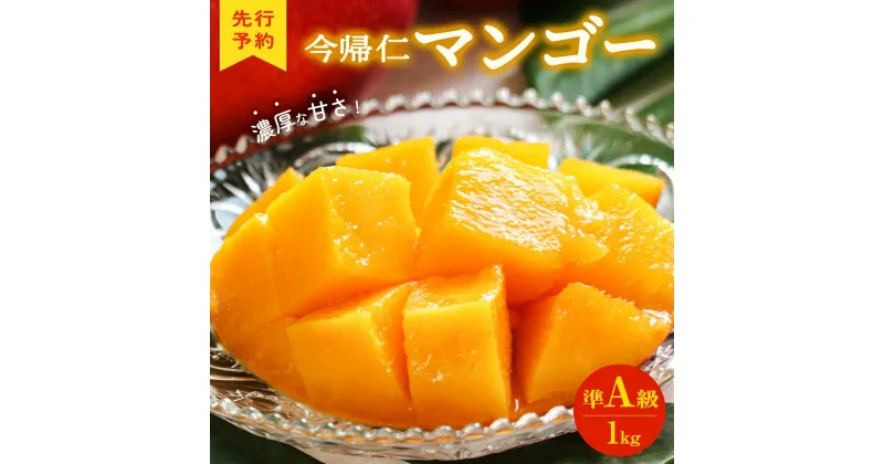 【ふるさと納税】 今帰仁マンゴー 準A級1kg【生産者応援】【お試し品】【2025年6月中旬～7月頃発送】国産 沖縄 今帰仁 完熟 アーウィン アップルマンゴー フルーツ デザート 果物 人気 おすすめ 美味しい おいしい 甘い 訳あり じゃない