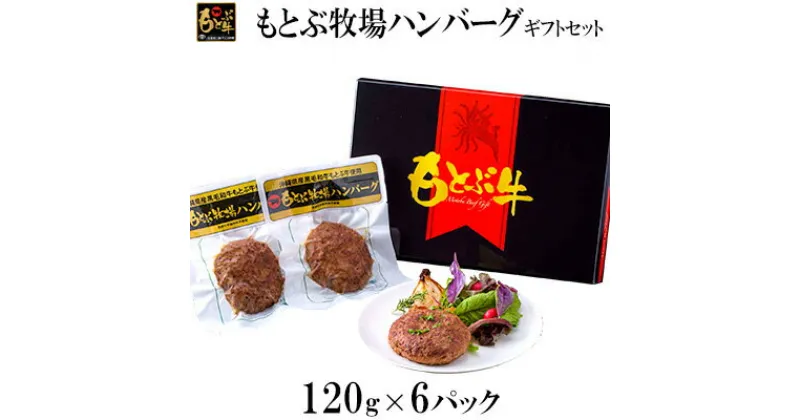 【ふるさと納税】もとぶ牧場ハンバーグギフトセット（120g×6パック）