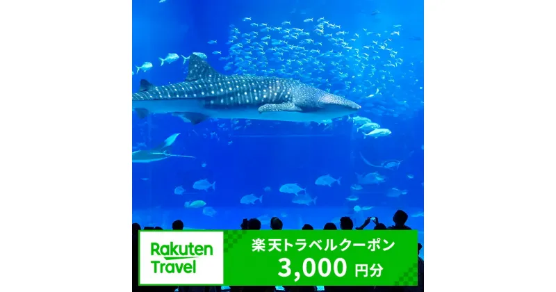 【ふるさと納税】沖縄県本部町の対象施設で使える楽天トラベルクーポン 寄付額10,000円