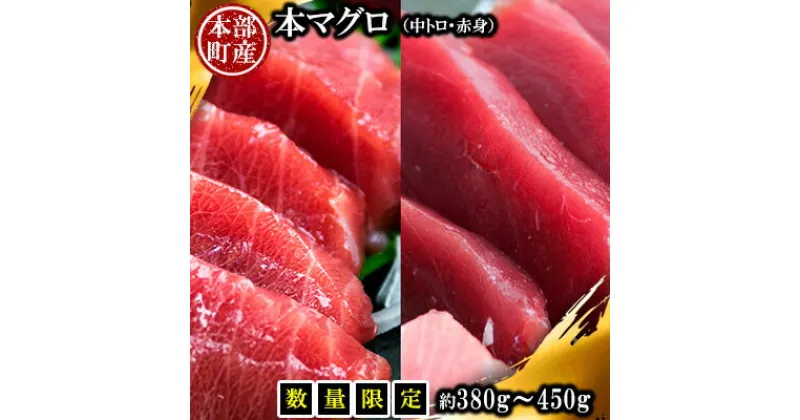 【ふるさと納税】【数量限定】本部町産 本マグロ（中トロ・赤身）セット 約380g～450g 鮪 本マグロ 土産 柵 さく 養殖 大トロ 上トロ 中トロ 大とろ 上とろ 中とろ おおとろ じょうとろ ちゅうとろ 赤身 あかみ 刺身 さしみ 漬け づけ つけ 海鮮 海産物 海鮮丼