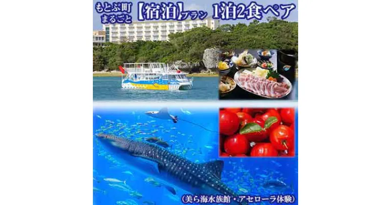 【ふるさと納税】もとぶ町まるごと【宿泊】プラン　1泊2食ペア（美ら海水族館・アセローラ体験）