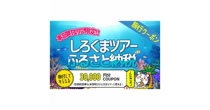 【ふるさと納税】【本部町】しろくまツアーで利用可能なWEB旅行クーポン（3万円分）