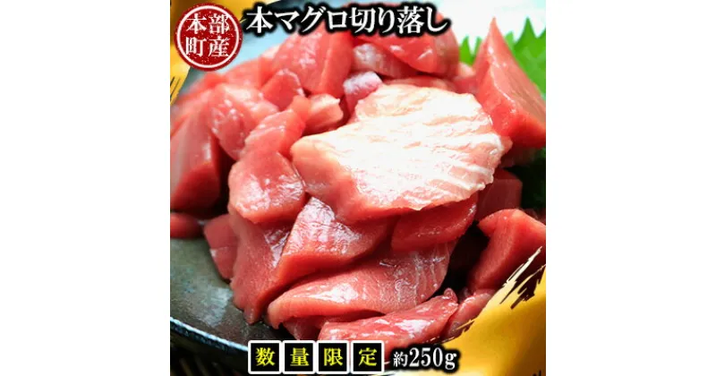 【ふるさと納税】【数量限定】本部町産 本マグロ 切り落し 約250g 鮪 本マグロ 御礼 お礼 挨拶 取り寄せ 柵 さく 養殖 大トロ 上トロ 中トロ 大とろ 上とろ 中とろ おおとろ じょうとろ ちゅうとろ 赤身 あかみ 刺身 さしみ 漬け づけ つけ 海鮮 海産物 海鮮丼