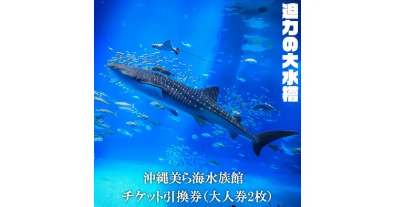 【ふるさと納税】【迫力の大水槽】沖縄美ら海水族館　チケット引換券＜大人券2枚＞ 本部町 海洋博 水族館 カップル 家族 ファミリー 親子 ジンベイザメ マンタ 水槽 魚 海水 海 人気 オススメ ギフト プレゼント 贈答 贈り物 プロポーズ