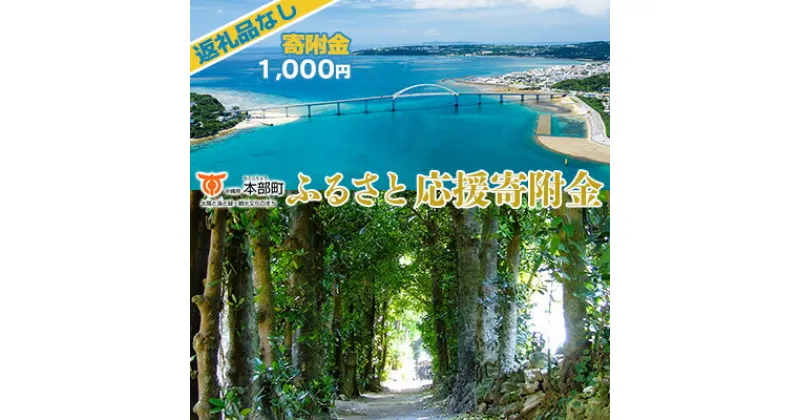 【ふるさと納税】【返礼品なし】沖縄県本部町ふるさと応援寄附金 1000円 寄附のみの応援 寄附のみ 返礼品なし 返礼品無し　御礼品なし　御礼品無し