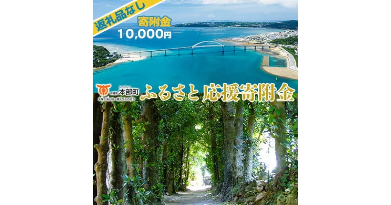 【ふるさと納税】【返礼品なし】沖縄県本部町ふるさと応援寄附金 10000円 寄附のみの応援 寄附のみ 返礼品なし 返礼品無し　御礼品なし　御礼品無し