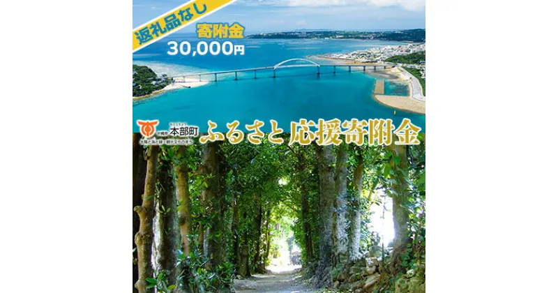 【ふるさと納税】【返礼品なし】沖縄県本部町ふるさと応援寄附金 30000円 寄附のみの応援 寄附のみ 返礼品なし 返礼品無し　御礼品なし　御礼品無し