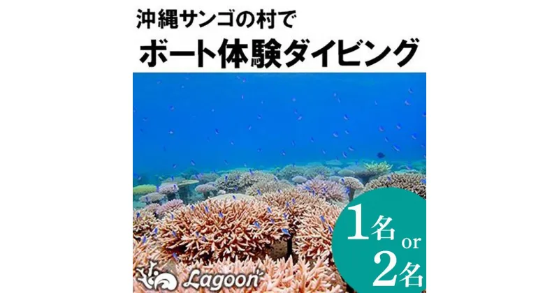 【ふるさと納税】チケット ボート体験 ダイビング「1名様～2名様」沖縄サンゴの村【恩納村ラグーン】 | 券 チケット ダイビング 体験 アクティビティ リゾート ボート サンゴ ふるさと納税 万座 恩納村 沖縄人気 おすすめ 送料無料