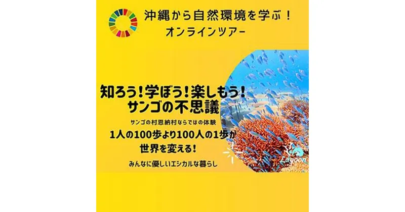 【ふるさと納税】チケット【参加特典付き貸切オンラインツアー】沖縄から自然環境を学ぶ！サンゴの不思議【恩納村ラグーン】 | 券 チケット ダイビング 体験 アクティビティ リゾート ふるさと納税 万座 恩納村 沖縄人気 おすすめ 送料無料