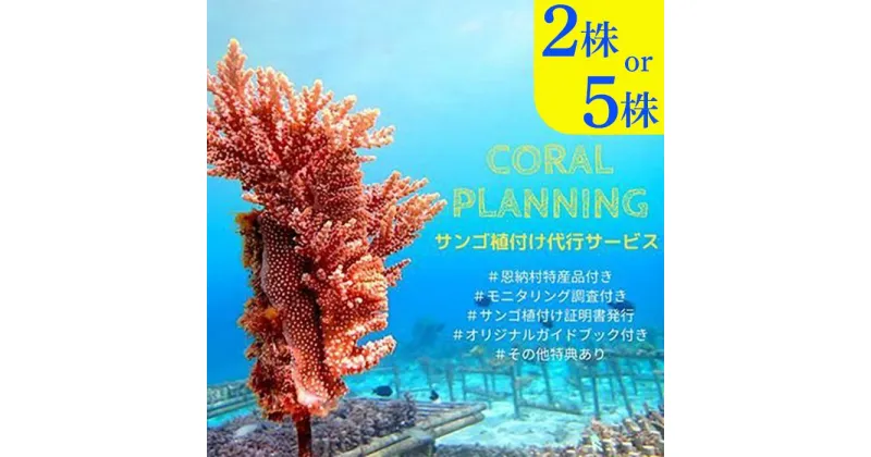 【ふるさと納税】チケット サンゴ植付け ｜ 代行サービス「2株 or 5株」【恩納村ラグーン】 | 券 チケット ダイビング 体験 アクティビティ リゾート ふるさと納税 万座 恩納村 沖縄人気 おすすめ 送料無料