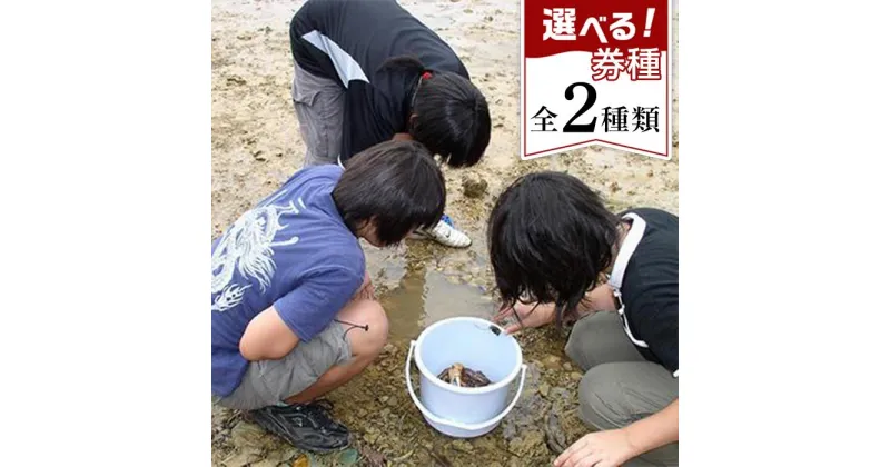 【ふるさと納税】【環境省重要湿地】【屋嘉田潟原】干潟の観察（3人）｜昼または夜