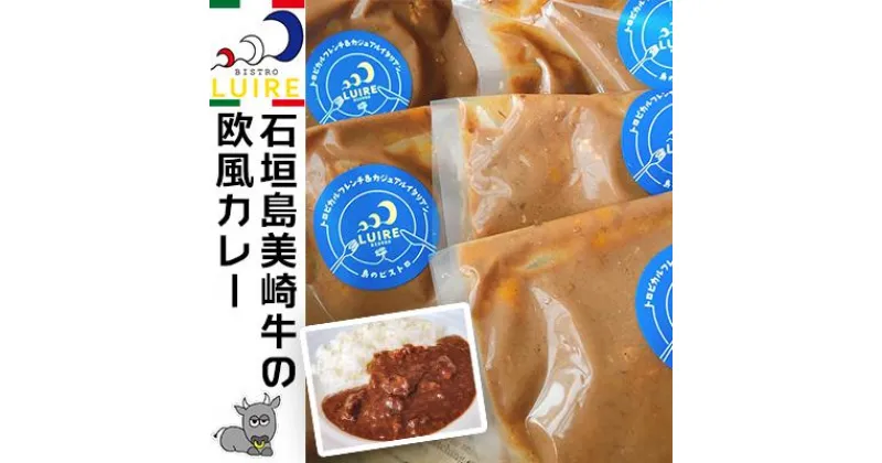 【ふるさと納税】石垣島美崎牛の欧風カレー 各200g × 5パック ビストロリュイール｜カレー カレーライス 欧風 フレンチ スパイス 肉 お肉 にく 食品 恩納村 真栄田 沖縄 人気 おすすめ 送料無料 ギフト