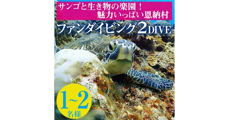 【ふるさと納税】サンゴと生き物の楽園！魅力いっぱい恩納村ファンダイビング（2DIVE）1名様～2名様