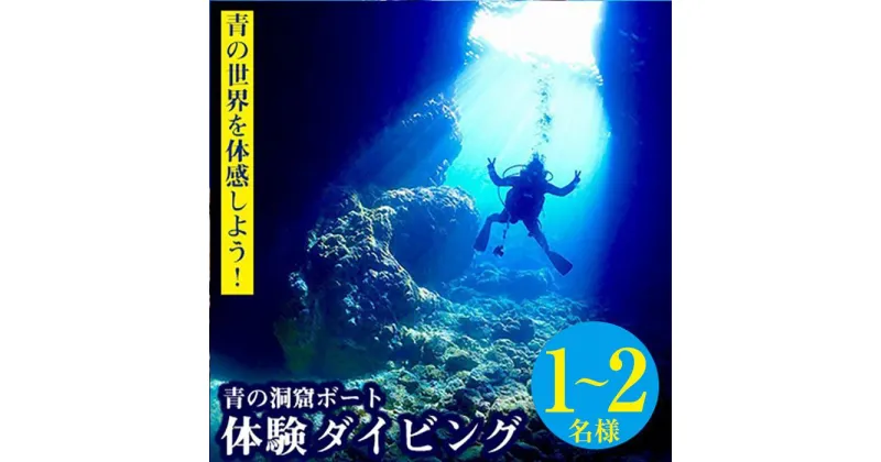 【ふるさと納税】青の世界を体感しよう！青の洞窟ボート体験ダイビング 1名様～2名様