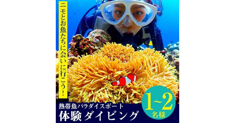 【ふるさと納税】ニモとお魚たちに会いに行こう！熱帯魚パラダイスボート体験ダイビング 1名様～2名様