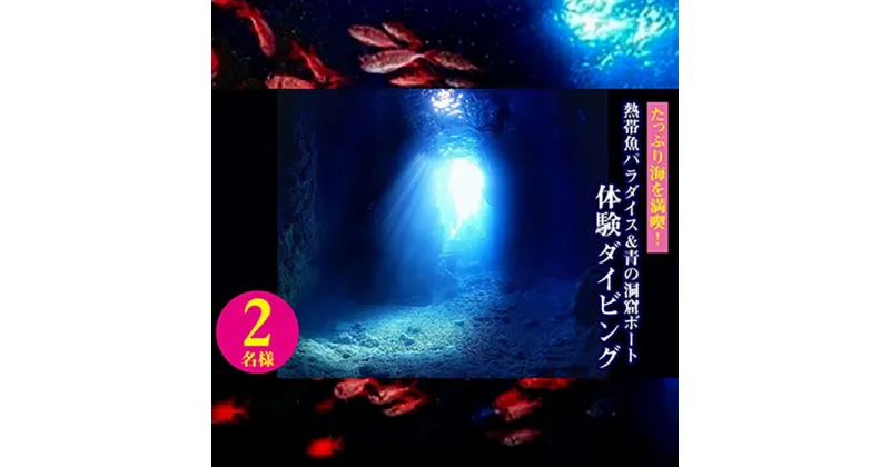 【ふるさと納税】たっぷり海を満喫！熱帯魚パラダイス＆青の洞窟ボート体験ダイビング2名様