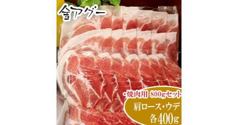 【ふるさと納税】金アグー　肩ロース　ウデ　800gセット（焼肉用）