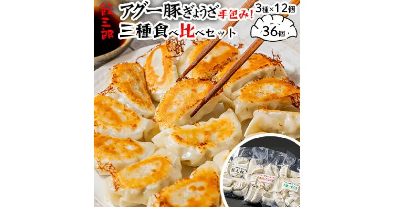 【ふるさと納税】手包み！アグー豚餃子 餃三郎　三種食べ比べセット 各12個　3種36個