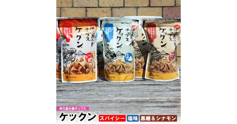 【ふるさと納税】伊江島産全粒粉を使った　伊江島小麦チップス「ケックン」バラエティセット EM 独特な風味 軽い食感 ご当地 おやつ おつまみ お菓子 トルティーヤチップス サルサ お気に入り 美味しい 人気 沖縄 離島 クセになる 国産 お土産 送料無料 産地直送 楽しみ