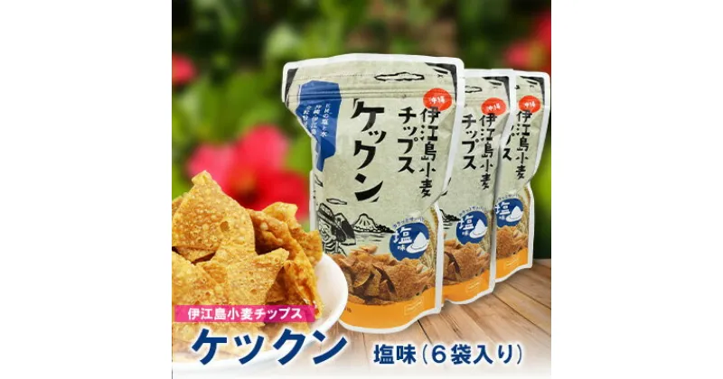 【ふるさと納税】伊江島産全粒粉を使った　伊江島小麦チップス「ケックン」塩味×6袋 EM 独特な風味 軽い食感 ご当地 おやつ おつまみ お菓子 トルティーヤチップス サルサ お気に入り 美味しい 人気 沖縄 離島 クセになる 国産 お土産 送料無料 産地直送 楽しみ