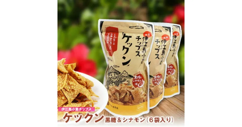 【ふるさと納税】伊江島産全粒粉を使った　伊江島小麦チップス「ケックン」黒糖＆シナモン味×6袋 EM 独特な風味 軽い食感 ご当地 おやつ おつまみ お菓子 トルティーヤチップス サルサ お気に入り 美味しい 人気 沖縄 離島 クセになる 国産 お土産 送料無料 産地直送 楽しみ