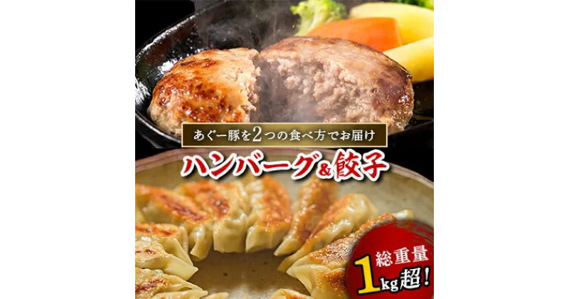 【ふるさと納税】総重量1kg超!あぐー豚を2つの食べ方でお届けします(ハンバーグ&餃子)【配送不可地域：離島】【1139598】