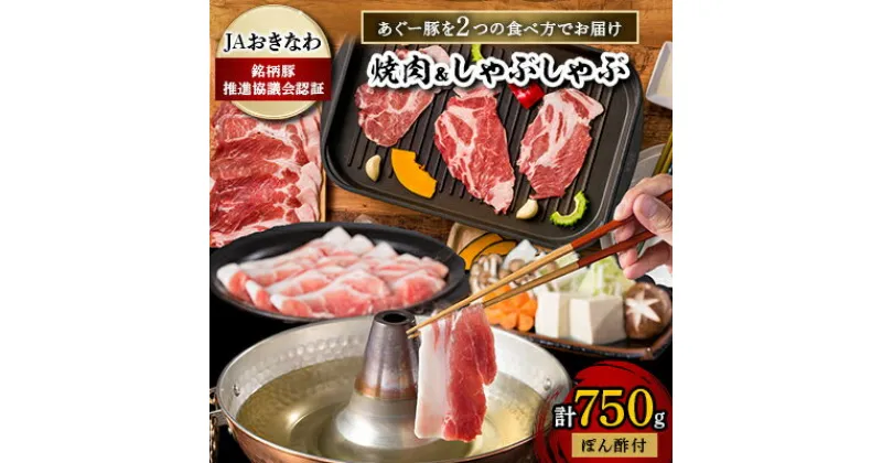 【ふるさと納税】あぐー豚を2つの食べ方でお届けします(焼肉&しゃぶしゃぶ)【配送不可地域：離島】【1148900】