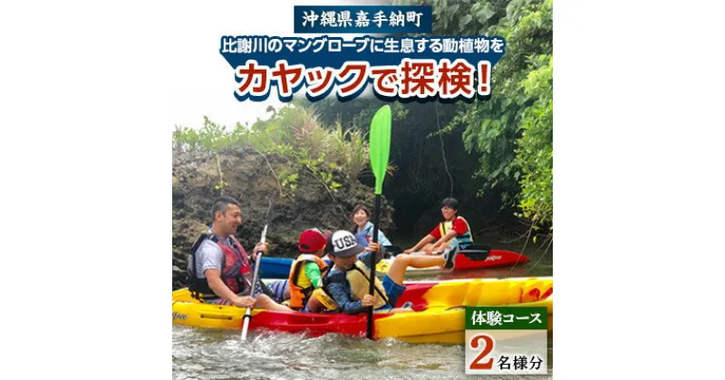 【ふるさと納税】【2名様体験コース】比謝川のマングローブに生息する動植物をカヤックで探検!【1399161】