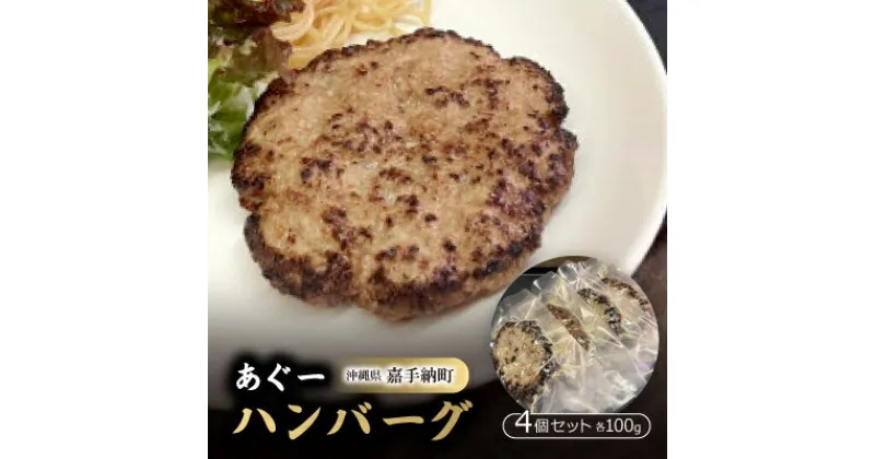 【ふるさと納税】あぐーハンバーグ 100g×4個セット【配送不可地域：離島】【1454971】