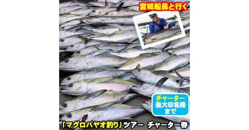 【ふるさと納税】宮城船長と行く【マグロ釣りパヤオツアー】チャーター券（大人6名迄）