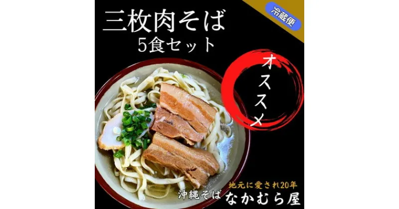 【ふるさと納税】三枚肉そば(細麺・5食セット)沖縄そば【配送不可地域：離島】【1471021】