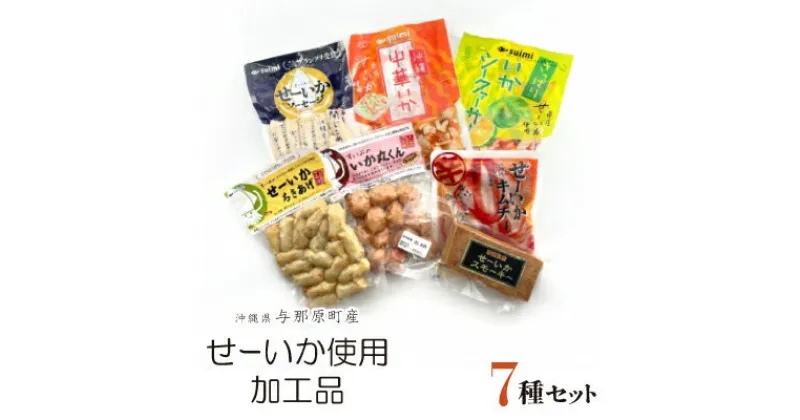 【ふるさと納税】与那原町産のせーいかを使った加工品7種セット【配送不可地域：離島】【1549307】