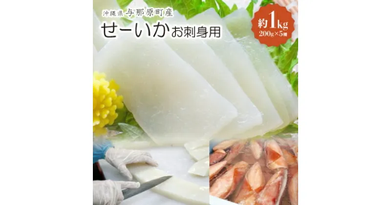 【ふるさと納税】せーいか お刺身用 約1kg(200g×5柵)【配送不可地域：離島】【1549415】