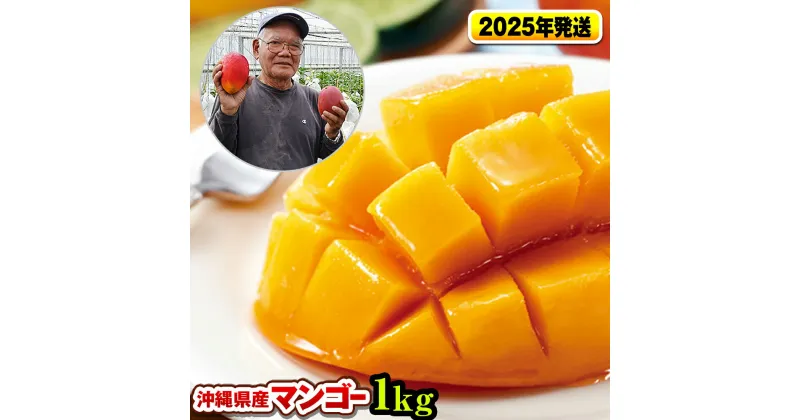 【ふるさと納税】【2025年発送】濃厚な甘さ！とろける食感！沖縄県産マンゴー1kg