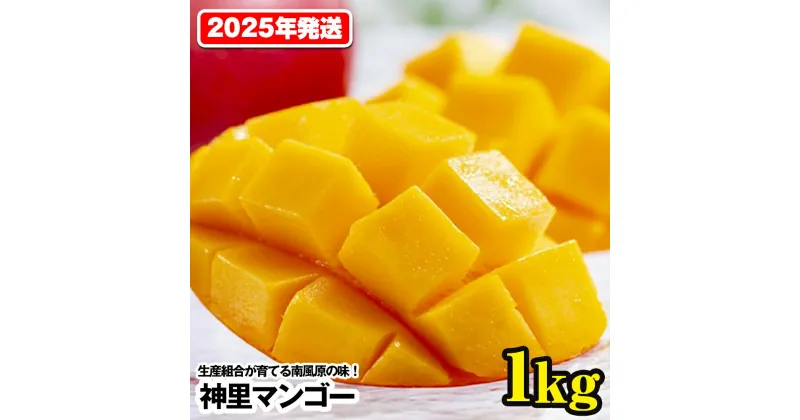 【ふるさと納税】【2025年発送】生産組合が育てる南風原の味　神里マンゴー1kg