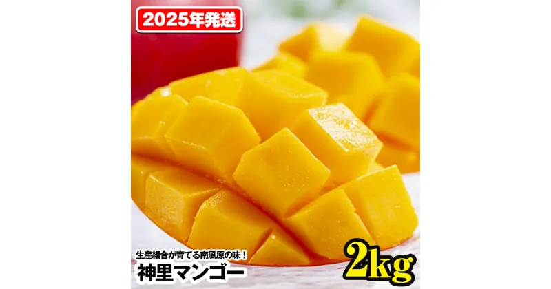 【ふるさと納税】【2025年発送】生産組合が育てる南風原の味　神里マンゴー2kg